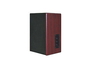 IP  room  speaker  VA-7008