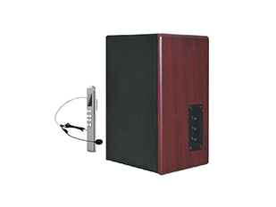 2.4GIP  indoor  speakers  VA-7008-2.4G