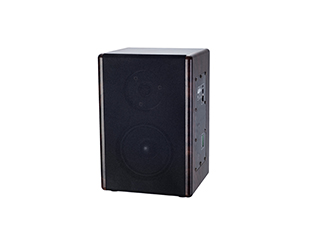 IP室内音箱   HIP-9008