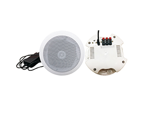 有源天花喇叭主箱  HW-500PB