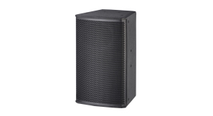 会议多功能厅音箱 DS15